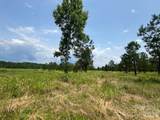 2200 Oweda Drive - Photo 12