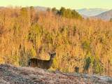 0 Cross Creek Trail - Photo 10