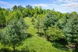 1557 Shoal Creek Road - Photo 9