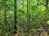 000 Boone Top - Photo 12