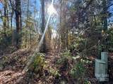 03 Old Camden Highway - Photo 8