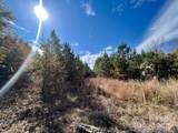 04 Old Camden Highway - Photo 3