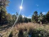 04 Old Camden Highway - Photo 7