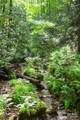 000 Rocky Top Road - Photo 12