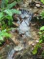 000 Rocky Top Road - Photo 4