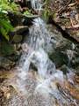 000 Rocky Top Road - Photo 5
