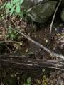 5 Friar Tuck Lane - Photo 11