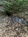 5 Friar Tuck Lane - Photo 12