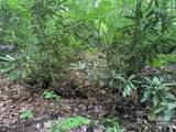 5 Friar Tuck Lane - Photo 5