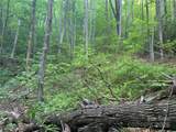 5 Friar Tuck Lane - Photo 7