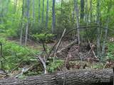 5 Friar Tuck Lane - Photo 8