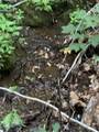 5 Friar Tuck Lane - Photo 9