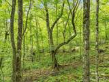 65 Bee Tree Lane - Photo 3