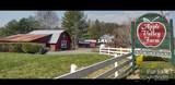 143 Cornell Circle - Photo 2