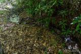 56 Hidden Valley Road - Photo 17