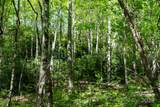 56 Hidden Valley Road - Photo 20