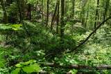 72 Lonesome Pines Road - Photo 12