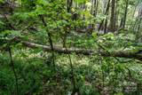 72 Lonesome Pines Road - Photo 14