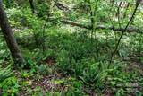 72 Lonesome Pines Road - Photo 15