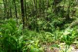 72 Lonesome Pines Road - Photo 19