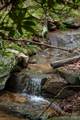 0000 Wheel Team Trail - Photo 4