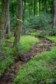 0000 Wheel Team Trail - Photo 10