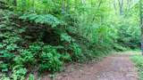 000 Roaring Creek Lane - Photo 11