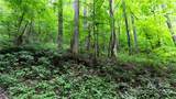 000 Roaring Creek Lane - Photo 14