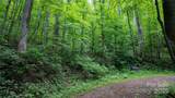 000 Roaring Creek Lane - Photo 15