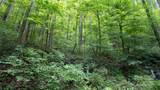 000 Roaring Creek Lane - Photo 16