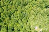 000 Roaring Creek Lane - Photo 6