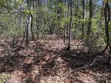 TBD Casey Mountain Road - Photo 8