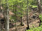 6 Lots Snow Ridge Road - Photo 3