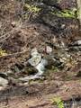 6 Lots Snow Ridge Road - Photo 4