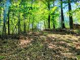 TBD Lucky Leaf Lane - Photo 2