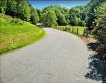 TBD Lucky Leaf Lane - Photo 3