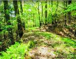 TBD Lucky Leaf Lane - Photo 4
