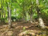 TBD Lucky Leaf Lane - Photo 6