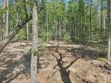 000 Ravenwood Drive - Photo 9