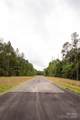 Lot 1 Great Blue Path - Photo 25