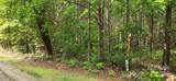 1590 Hawks Pointe Lane - Photo 4