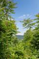 22 Samuel Ashe Drive - Photo 9