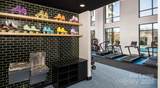 1015 Alexander Street - Photo 15