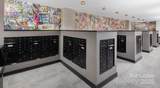 1015 Alexander Street - Photo 19