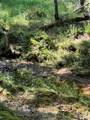 000 Daystar Road - Photo 3