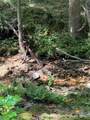 000 Daystar Road - Photo 4