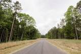 Lot 36 Snow Goose Walk Court - Photo 14