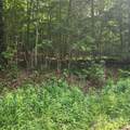 00 Poplar Creek Road - Photo 1