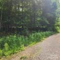 00 Poplar Creek Road - Photo 2