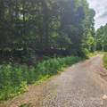 00 Poplar Creek Road - Photo 3
